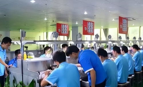 青海学霸周浩 669分考入北大,后退学读技校,今成教育咨询师
